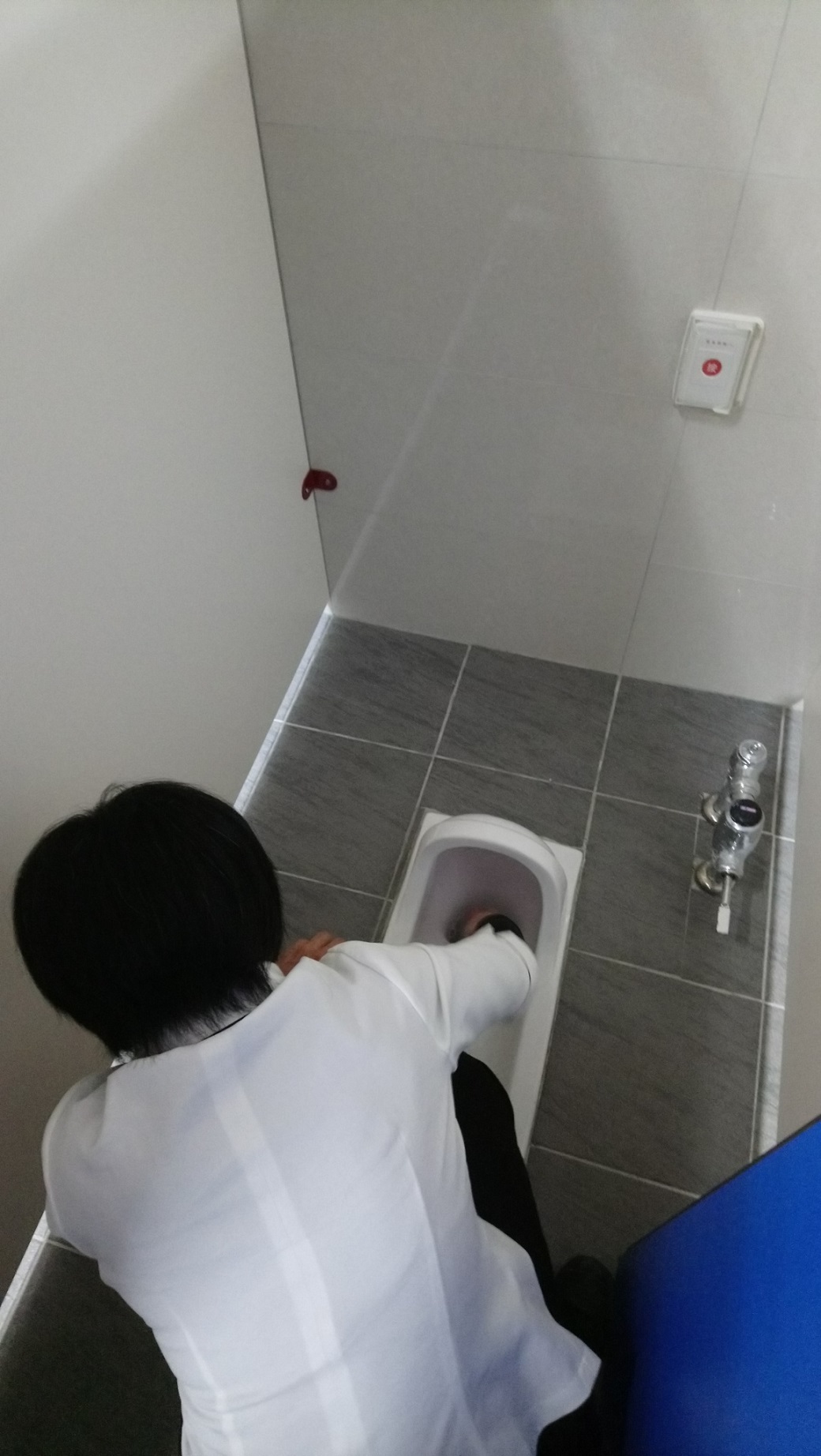 認真刷洗馬桶
