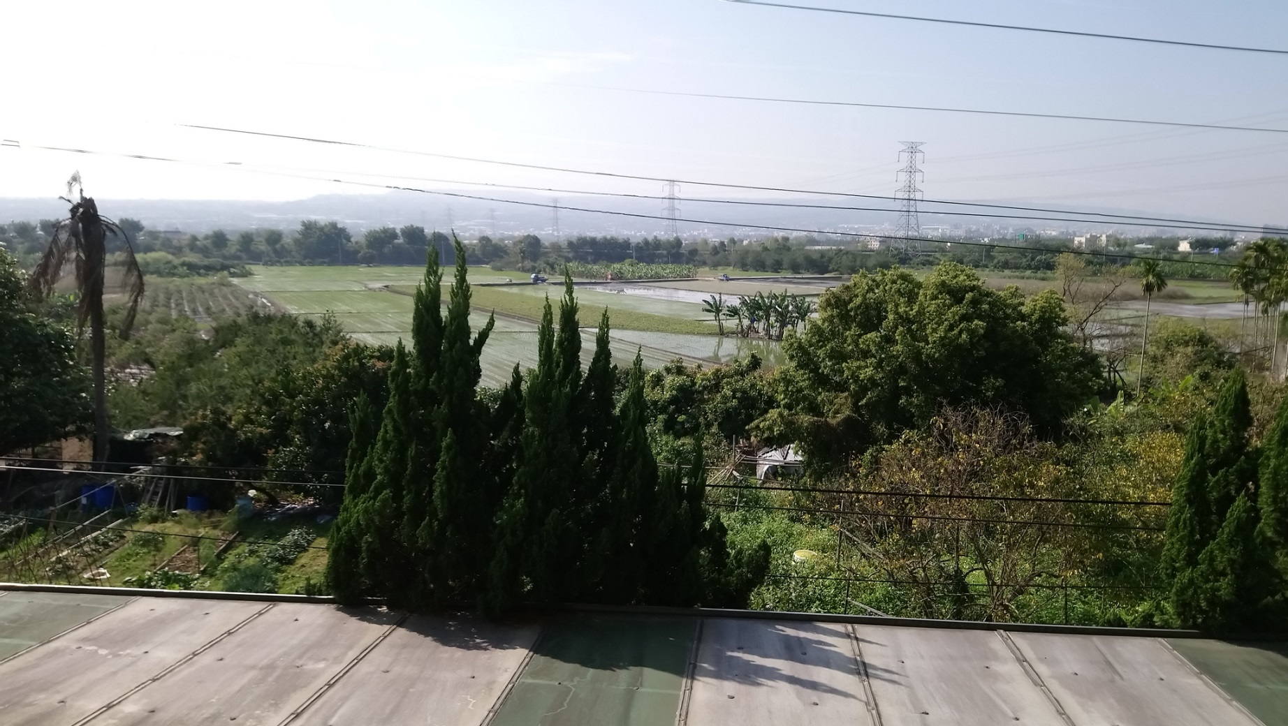 明本宮四周
